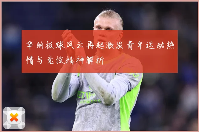 华纳板球风云再起激发青年运动热情与竞技精神解析