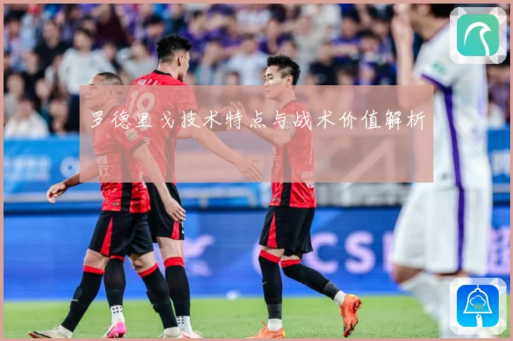 罗德里戈技术特点与战术价值解析
